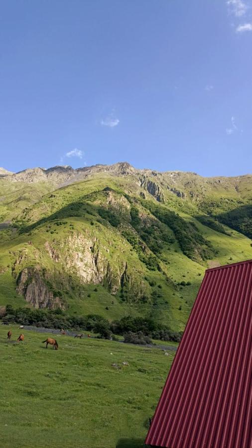 Mountain Flower Cottage 卡兹贝吉 外观 照片