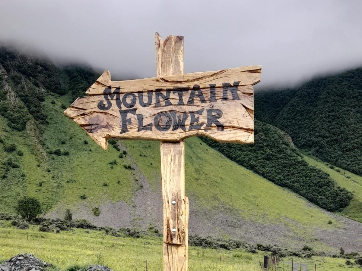 Mountain Flower Cottage 卡兹贝吉 外观 照片